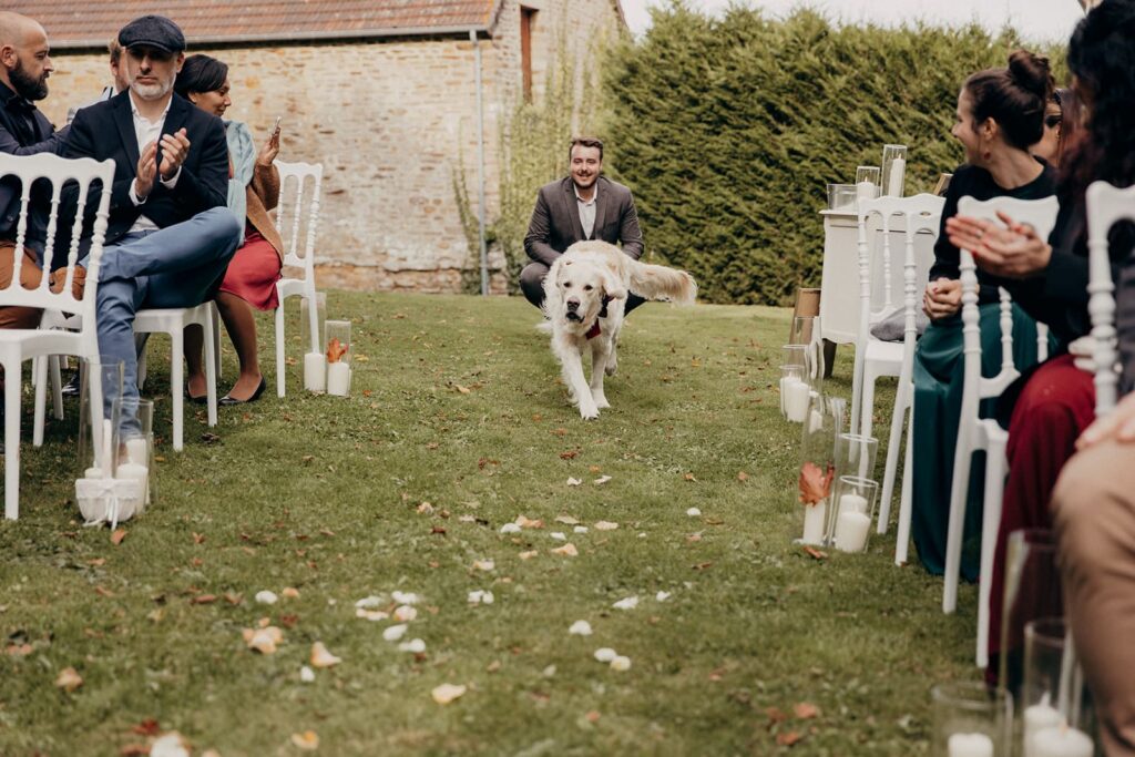 Chien d'honneur Golden Retriever apportant les alliances dans l'allée de cérémonie au Domaine d'Aslan